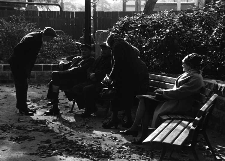 Banc - Bench - ベンチ